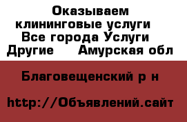 Оказываем клининговые услуги! - Все города Услуги » Другие   . Амурская обл.,Благовещенский р-н